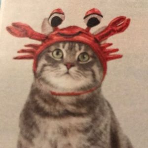 Meet your Posher, Cecily